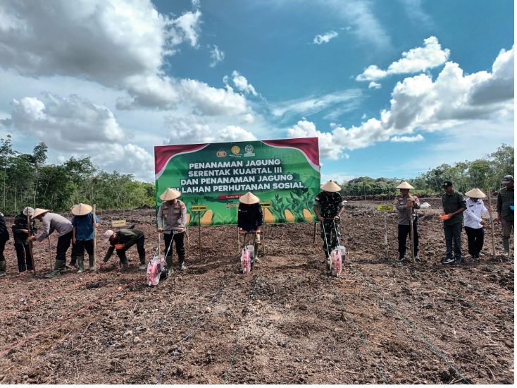 Sambas Dukung Ketahanan Pangan Nasional, Asisten Bupati Hadiri Penanaman Jagung Serentak Kuartal III Tahun 2025