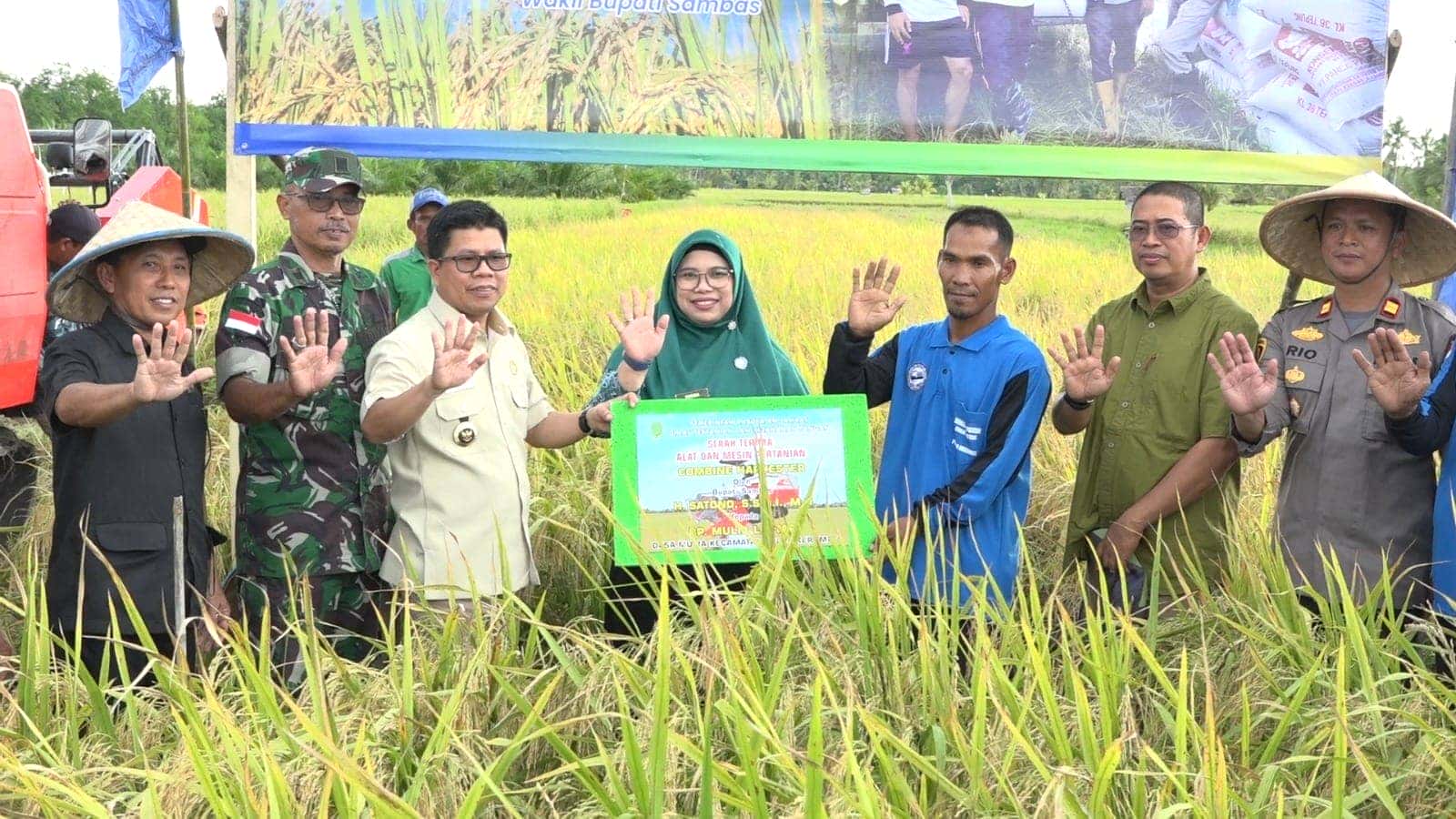 BUPATI SAMBAS SATONO PANEN RAYA BRIGADE PANGAN MULIA BESTARI