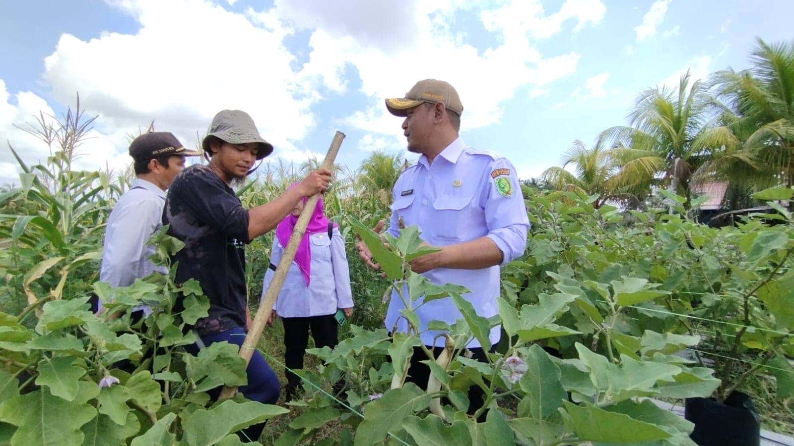 Wabup Rofi Apresiasi Petani Muda Desa Merpati Gunakan Metode Smart Farming