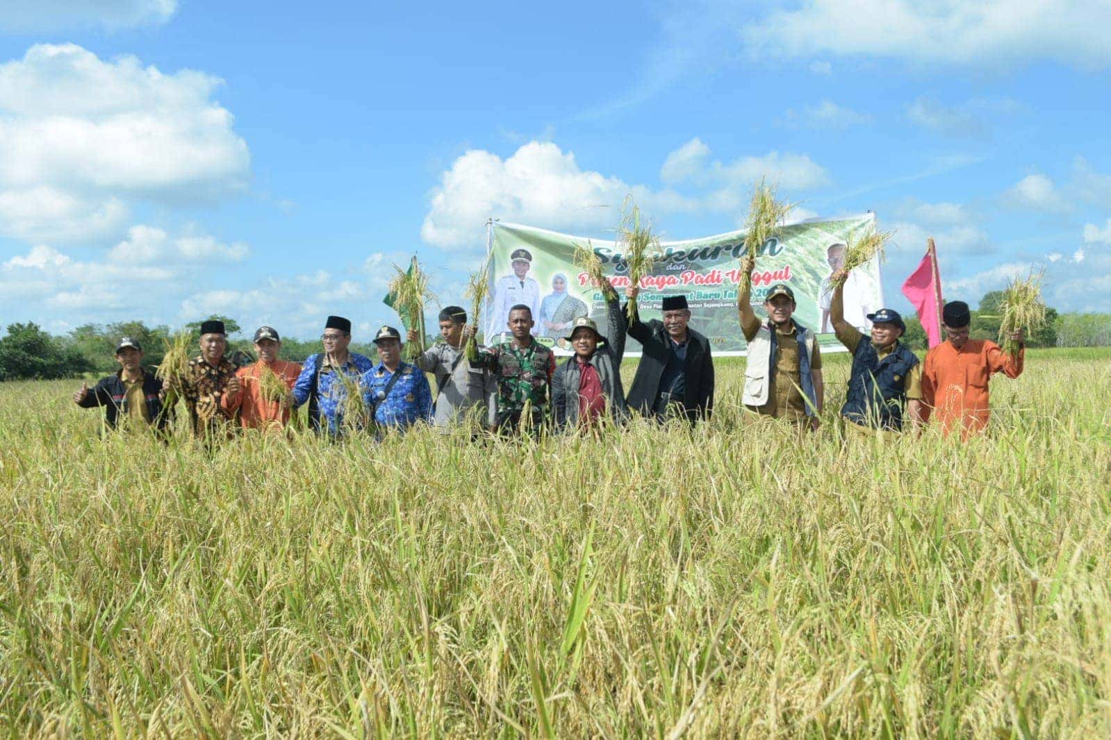 HADIRI NUNGAS TAON, WABUP ROFI APRESIASI WARGA SEJANGKUNG AKAN BENTUK SYUKUR ATAS PANEN PADI