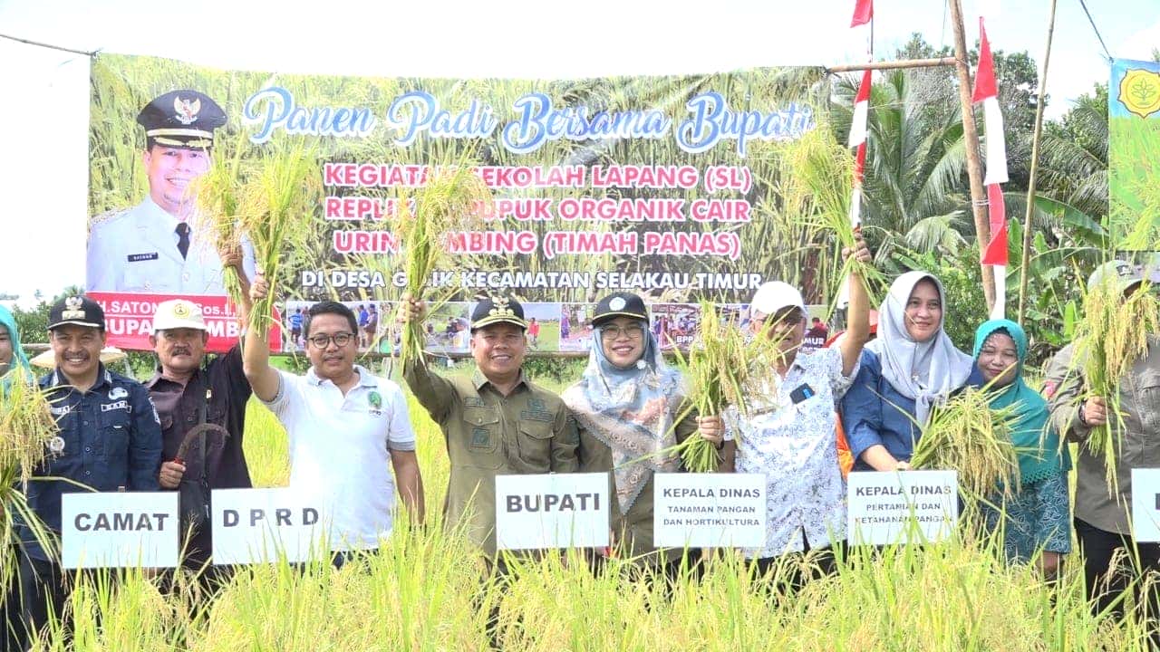 Panen Perdana Padi Varietas Inpari 37 Desa Gelik, Bupati Harapkan Semangat Petani Tidak Surut