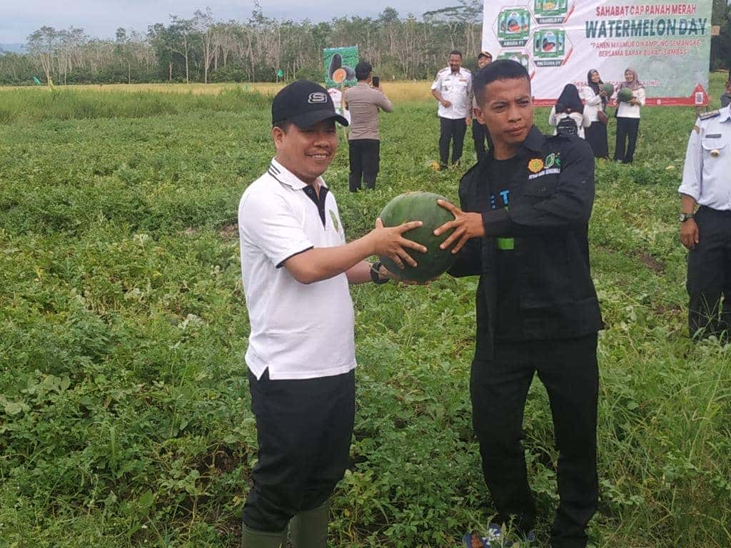 LAUNCHING KAMPUNG SEMANGKA DI SAGU, BUPATI SATONO KAGUMI PETANI MILLENIAL