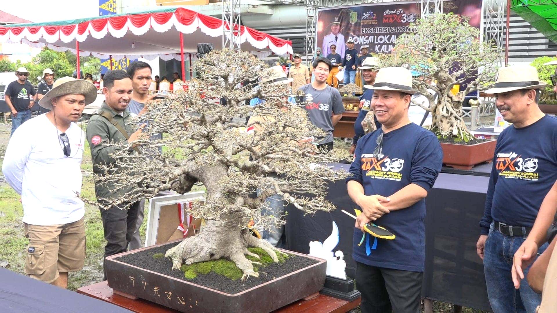BUPATI SAMBAS SATONO DUKUNG PENUH PERGELARAN KONTES BONSAI DI KABUPATEN SAMBAS